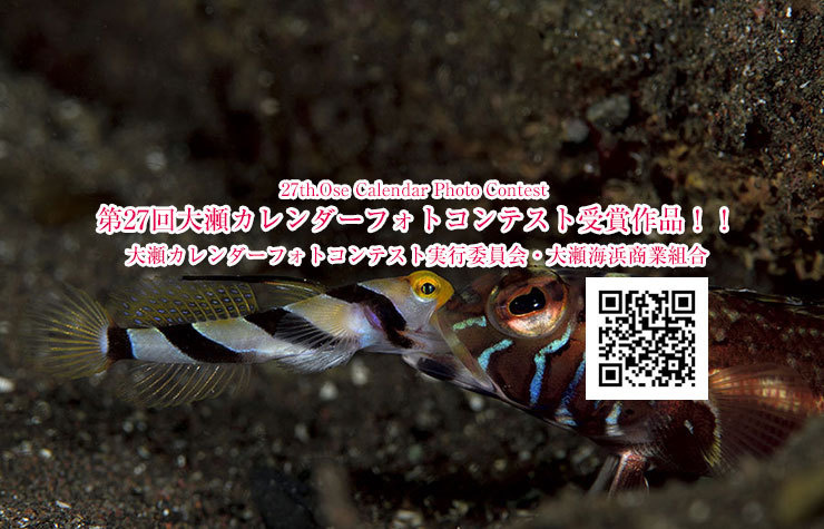 大瀬海浜商業組合・第27回大瀬カレンダーフォトコンテスト受賞作品