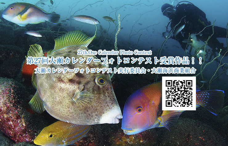 大瀬海浜商業組合・第27回大瀬カレンダーフォトコンテスト受賞作品
