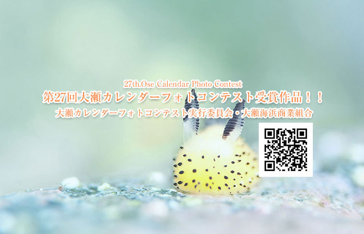 大瀬海浜商業組合・第27回大瀬カレンダーフォトコンテスト受賞作品